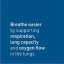 natural-factors-lung-bronchial-sinus-hea-3.jpg