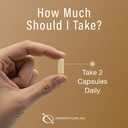 transfer-point-immune-support-supplement-5.jpg