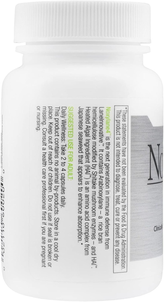 lane-innovative---noxylane-4-supports-im-3.jpg