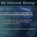 lane-innovative---noxylane-4-supports-im-4.jpg