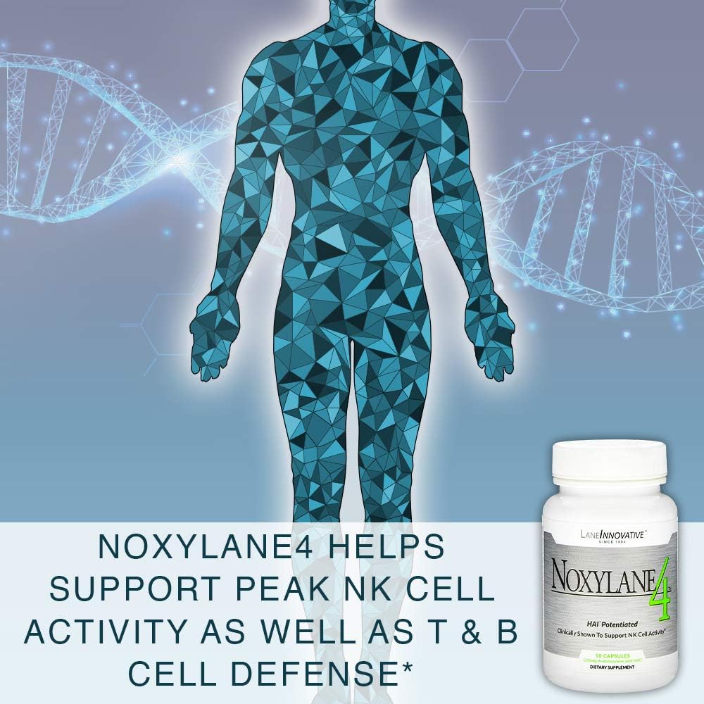 lane-innovative---noxylane-4-supports-im-6.jpg