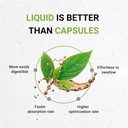 secrets-of-the-tribe-bugleweed-tincture--2.jpg