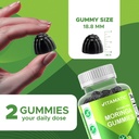 vitamatic-2-packs-sugar-free-moringa-gum-3.jpg