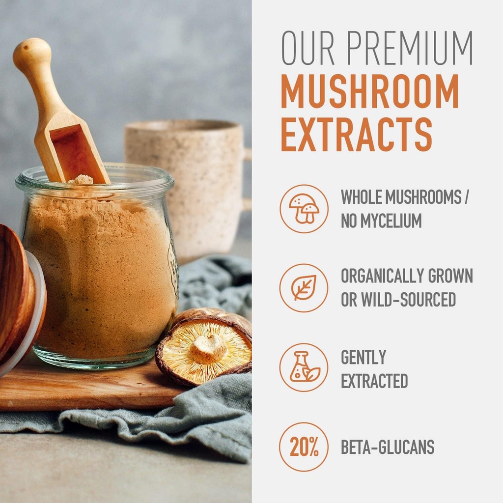 organic-lions-mane-mushroom-supplement---4.jpg