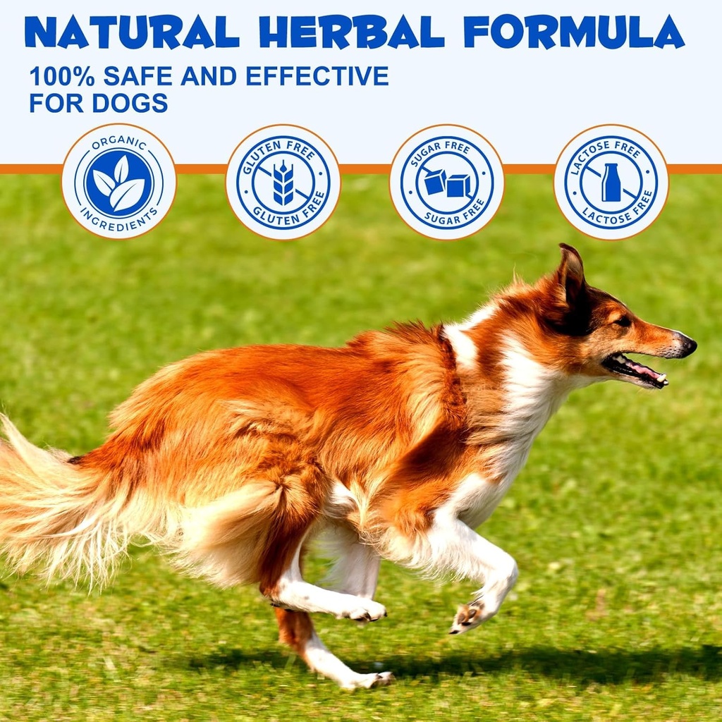 dog-joint-aid-relief-supplement-with-cho-2.jpg