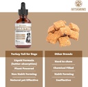 turkey-tail-mushroom-for-dogs-helps-to-b-3.jpg
