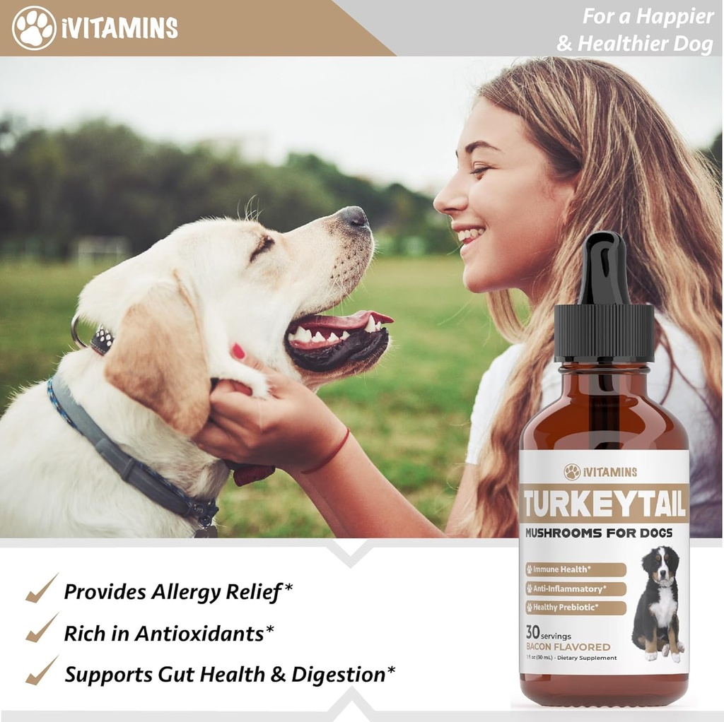 turkey-tail-mushroom-for-dogs-helps-to-b-4.jpg