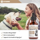 turkey-tail-mushroom-for-dogs-helps-to-b-4.jpg