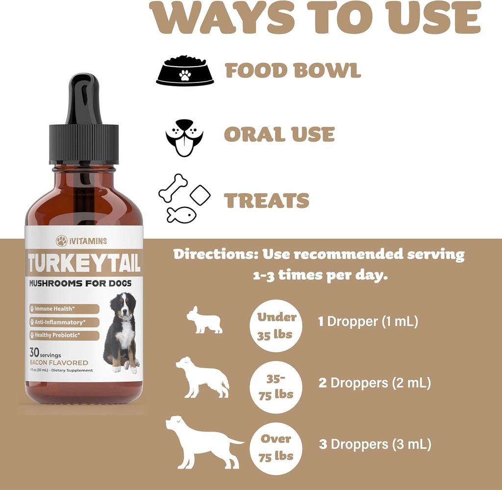turkey-tail-mushroom-for-dogs-helps-to-b-5.jpg