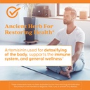 doctors-best-artemisinin-helps-promote-g-6.jpg
