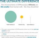 empowerplus-ultimate-strength-most-effec-6.jpg