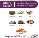 amber-naturalz-vibactra-plus-herbal-supp-3.jpg