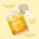 vimergy-micro-c-immune-power-tm---500g---3.jpg