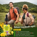 mullein-drops-for-lungs-mullein-leaf-ext-5.jpg