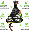 hеmp-and-salmon-oil-for-dogs-skin-and-co-2.jpg