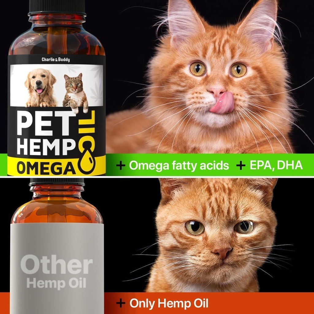 hеmp-and-salmon-oil-for-dogs-skin-and-co-4.jpg