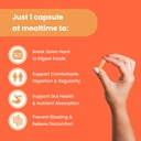 nutrachamps-digestive-enzymes-with-probi-3.jpg
