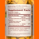 sundown-calcium-magnesium-zinc-100-caple-3.jpg
