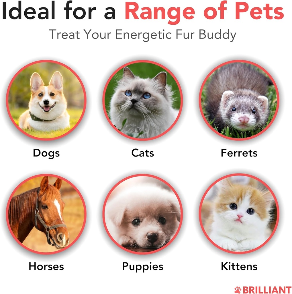 salmon-oil-for-dogs---healthy-skin-coat--4.jpg