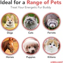 salmon-oil-for-dogs---healthy-skin-coat--4.jpg