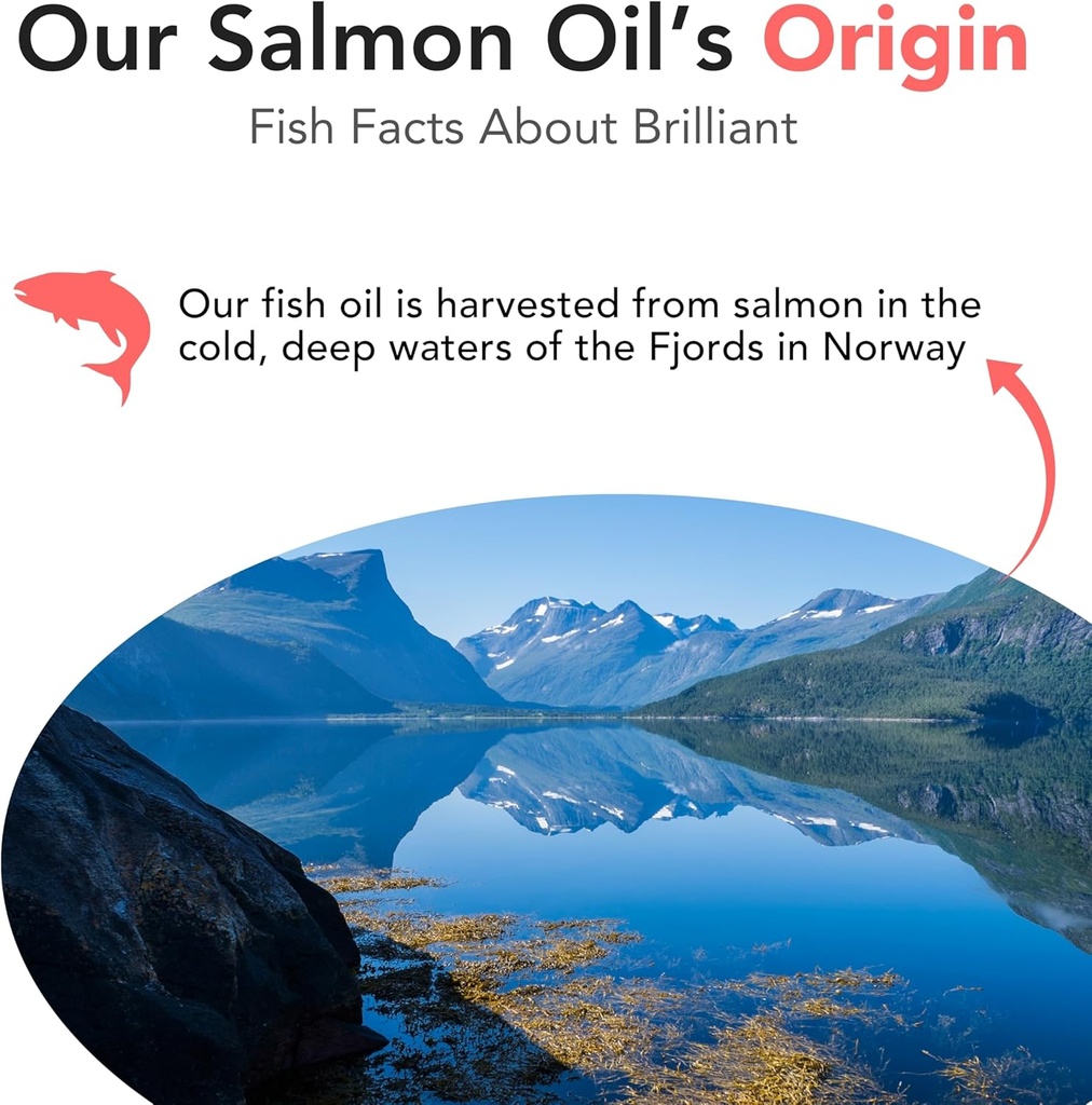 salmon-oil-for-dogs---healthy-skin-coat--6.jpg