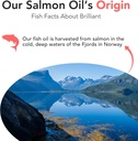 salmon-oil-for-dogs---healthy-skin-coat--6.jpg