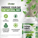 pure-moringa-oleifera-green-superfood-ca-2.jpg
