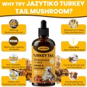 turkey-tail-mushroom-for-dogs---faster-a-5.jpg