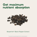 turmeric-vegan-msm-boswellia-quercetin---6.jpg
