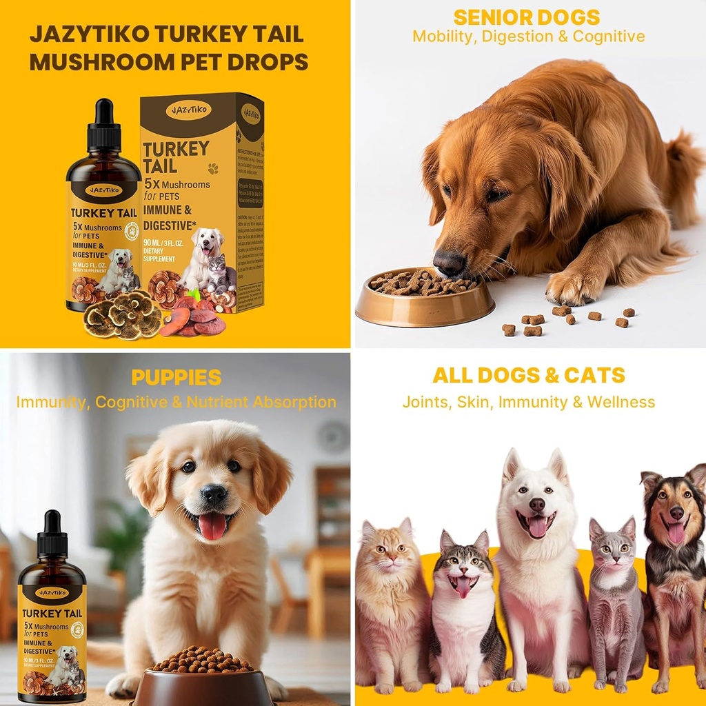 turkey-tail-mushroom-for-dogs---faster-a-6.jpg