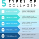 collagen-hair-skin-and-nail-supplement-f-2.jpg