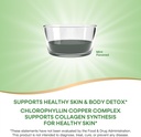 natures-way-chlorofresh-liquid-chlorophy-3.jpg