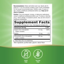 natures-way-chlorofresh-liquid-chlorophy-6.jpg