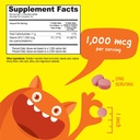 kids-vitamin-b12-1000-mcg-chewable-table-2.jpg