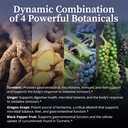 biopure-curcusyn-curcumin-supplement-mad-5.jpg