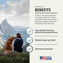 four-leaf-rover-protect---probiotics-for-2.jpg