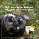 vetriscience-eye-vision-health-chews-cle-6.jpg