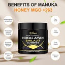 natural-himalayan-shilajit-gummies-organ-4.jpg
