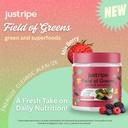 field-of-greens-superfood-powder-with-or-5.jpg