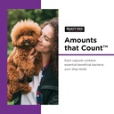 nutri-vet-probiotics-for-dogs-supports-d-3.jpg