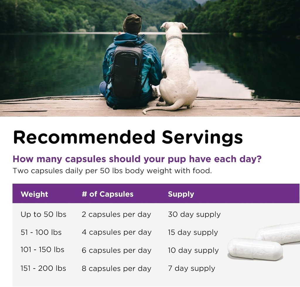 nutri-vet-probiotics-for-dogs-supports-d-5.jpg