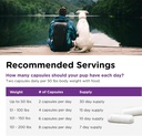 nutri-vet-probiotics-for-dogs-supports-d-5.jpg