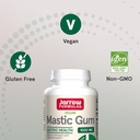 jarrow-formulas-mastic-gum-1000-mg-dieta-5.jpg