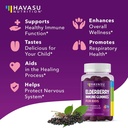 elderberry-gummies-for-kids-with-zinc-an-5.jpg