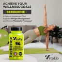 berberine-supplement-500mg---usa-made-be-3.jpg
