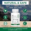 new-zealand---palmitoylethanolamide-600m-3.jpg