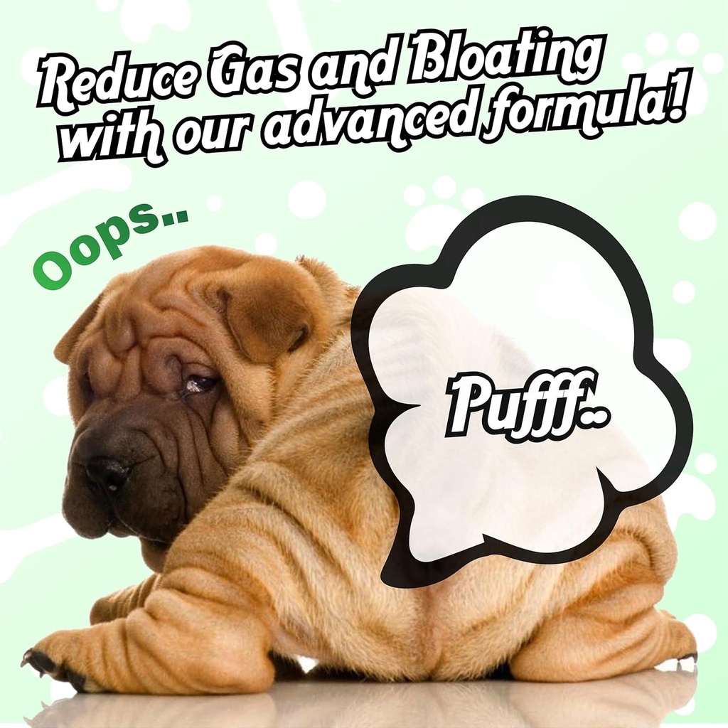 charlie-buddy-pet-probiotics-for-dogs-ai-4.jpg