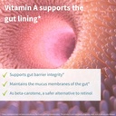 igennus-probiotics-prebiotic-lactobacill-5.jpg