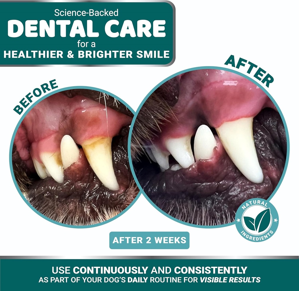advanced-dog-dental-powder-breath-freshe-3.jpg