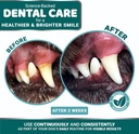 advanced-dog-dental-powder-breath-freshe-3.jpg